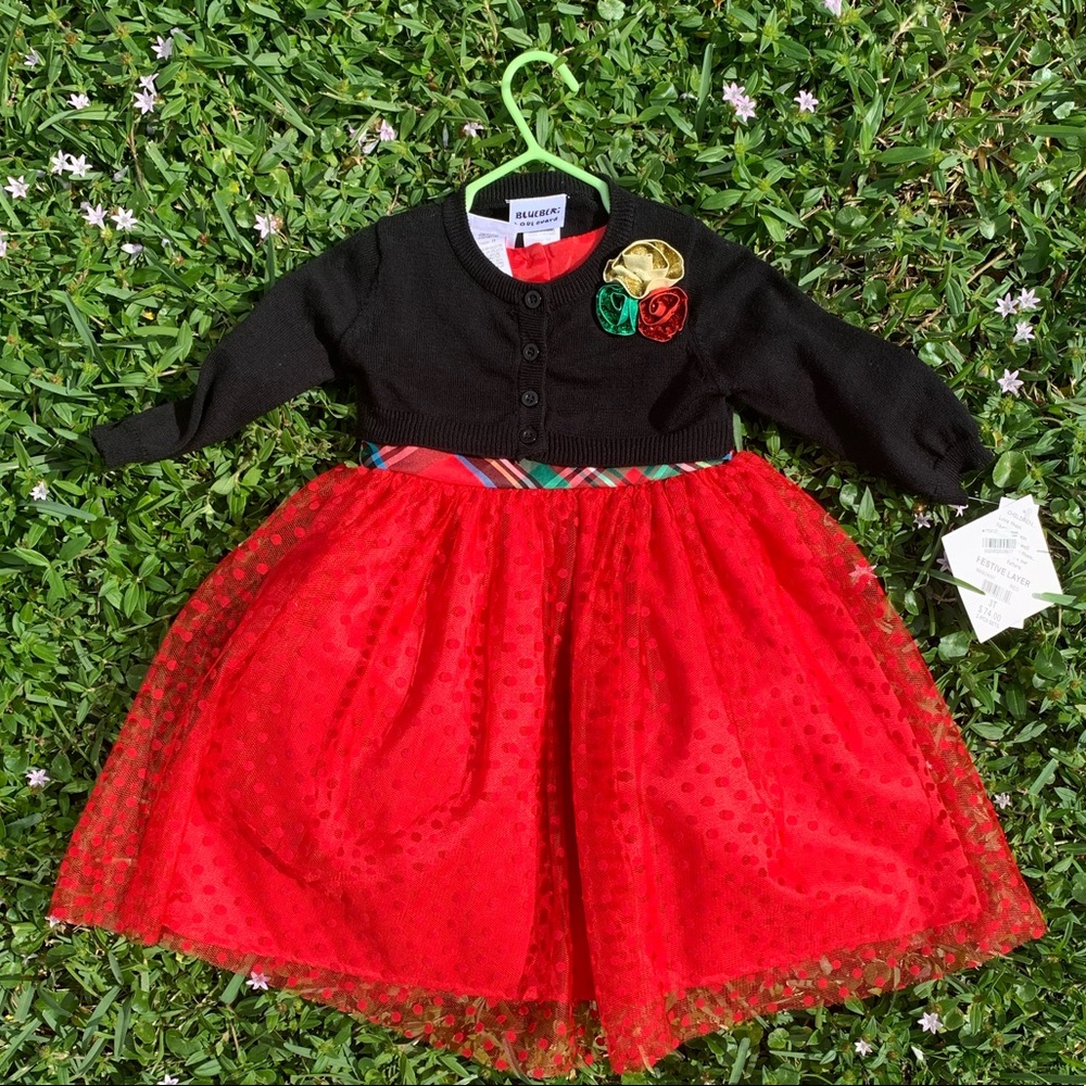COPY - NWT gorgeous red dress with green plaid - Picture 2 of 12